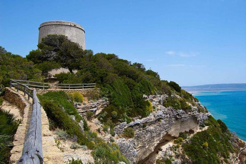 Turquesa * Barbate