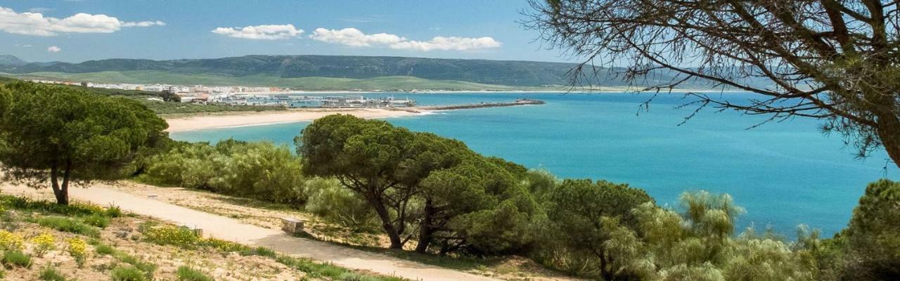 Turquesa * Barbate
