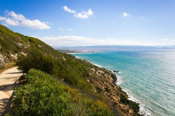Turquesa * Barbate